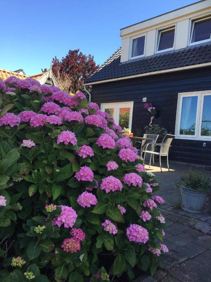 T Huuske Tuinappartement Met Fantastisch Uitzicht, Nabij Zee Zonnemaire Eksteriør billede