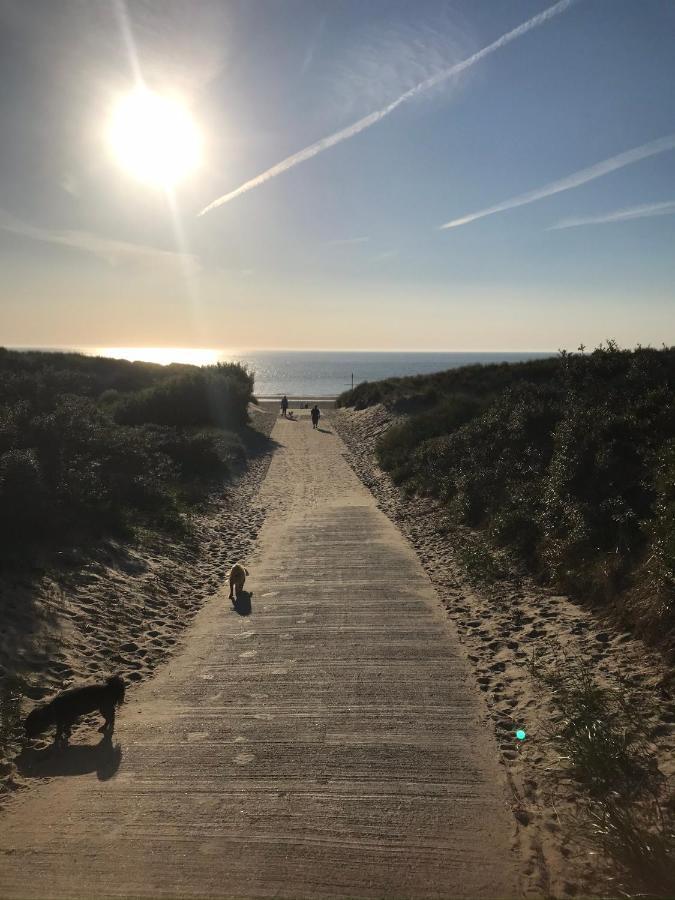 T Huuske Tuinappartement Met Fantastisch Uitzicht, Nabij Zee Zonnemaire Eksteriør billede