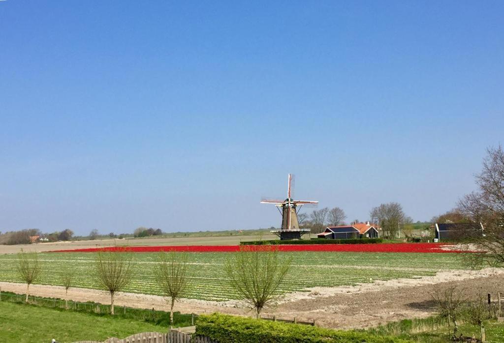 T Huuske Tuinappartement Met Fantastisch Uitzicht, Nabij Zee Zonnemaire Eksteriør billede