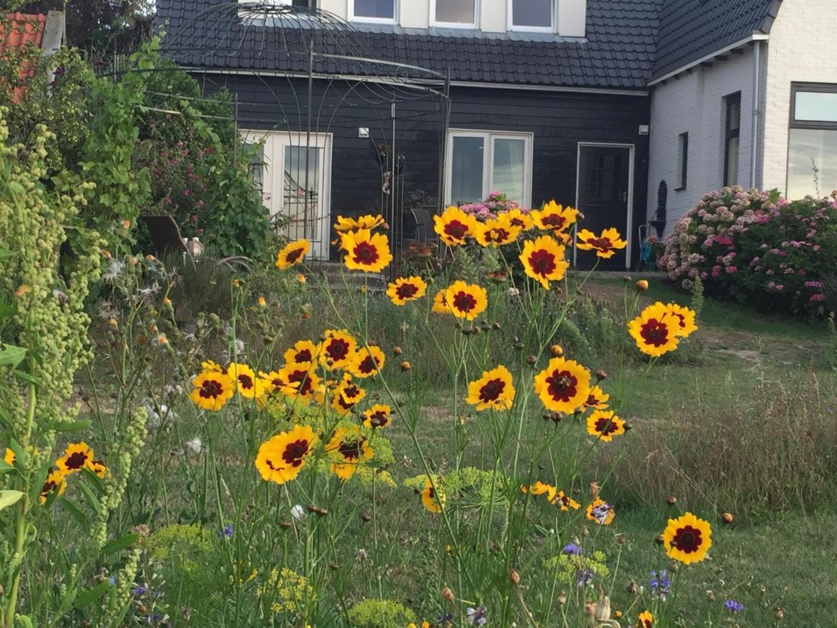 T Huuske Tuinappartement Met Fantastisch Uitzicht, Nabij Zee Zonnemaire Eksteriør billede