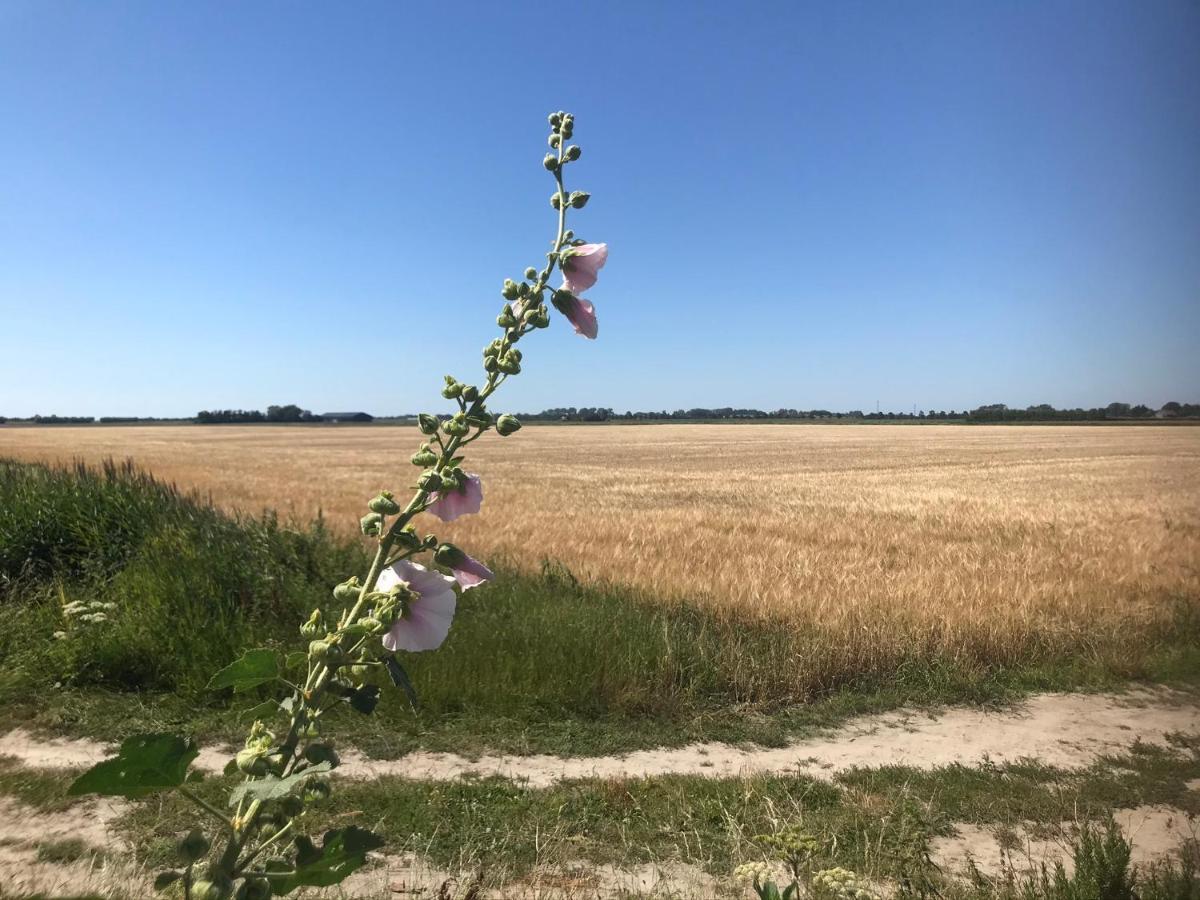 T Huuske Tuinappartement Met Fantastisch Uitzicht, Nabij Zee Zonnemaire Eksteriør billede
